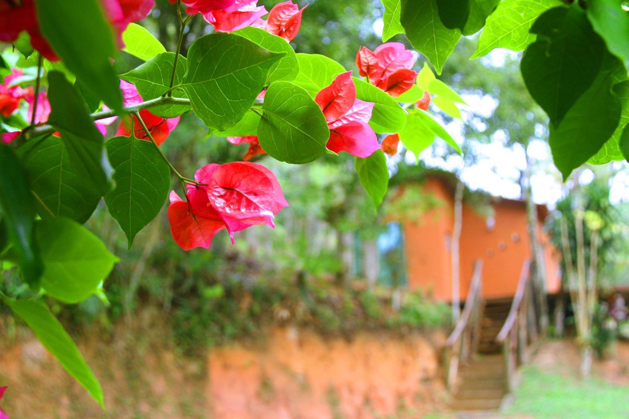 Country house Refugio Da Mata Juquitiba